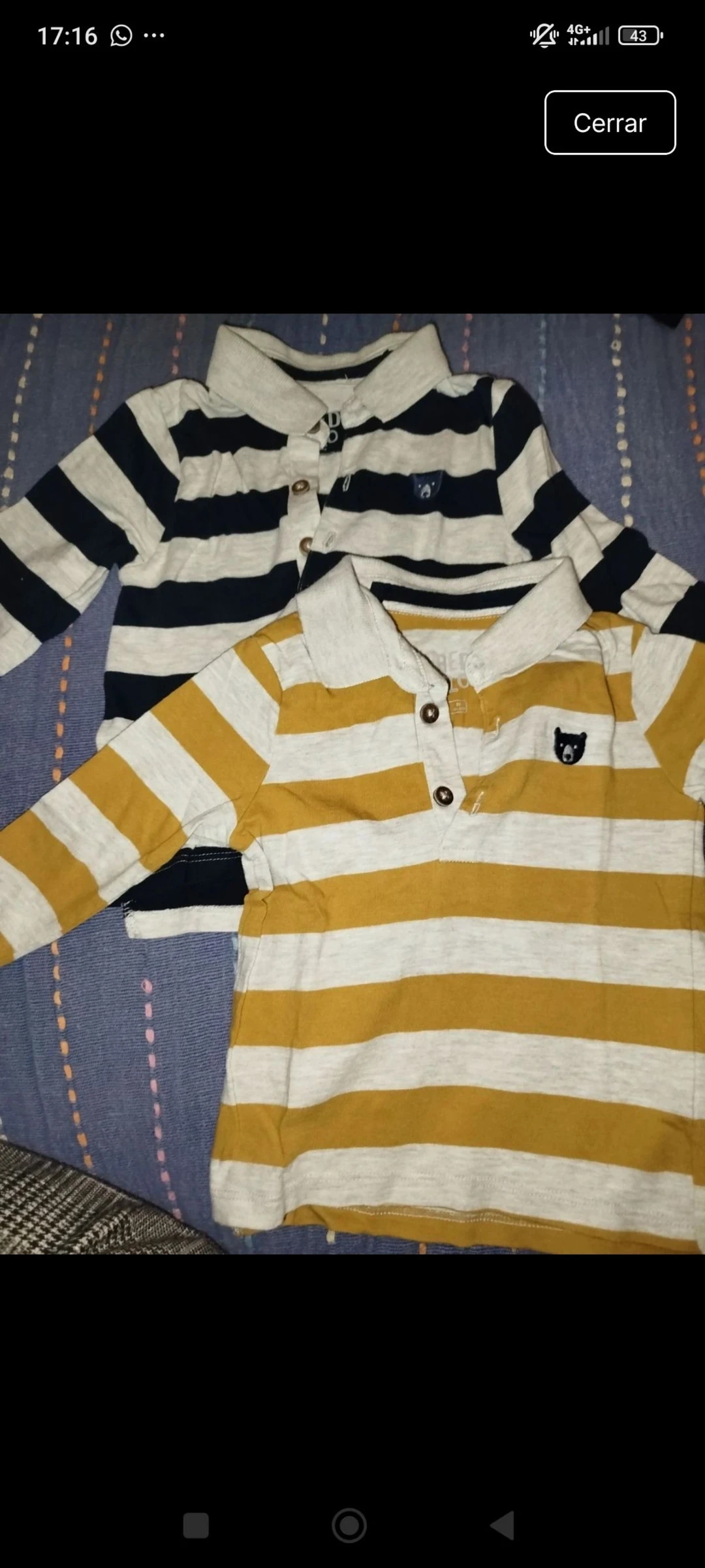 Pack dos polos bordado osito 18 meses